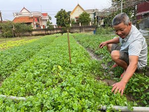 Thu nhập cao nhờ mô hình trồng trọt kết hợp với chăn nuôi